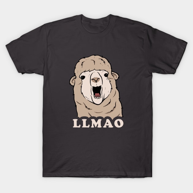 Llmao T-Shirt by dumbshirts